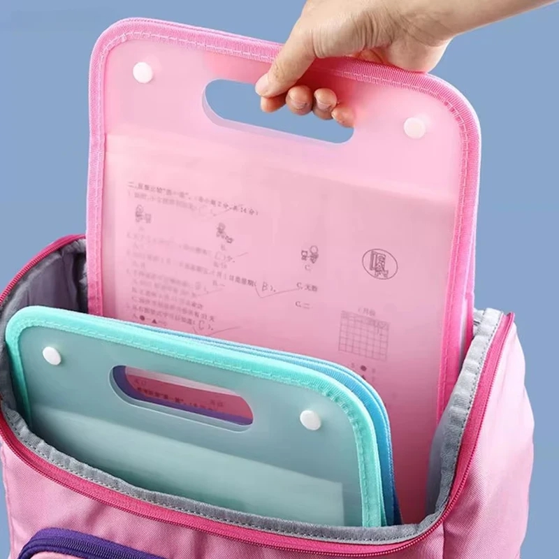 Organizer File Akordion A4 13  - Expandable Accordion File Folder 13 Pockets ulasan dan harga